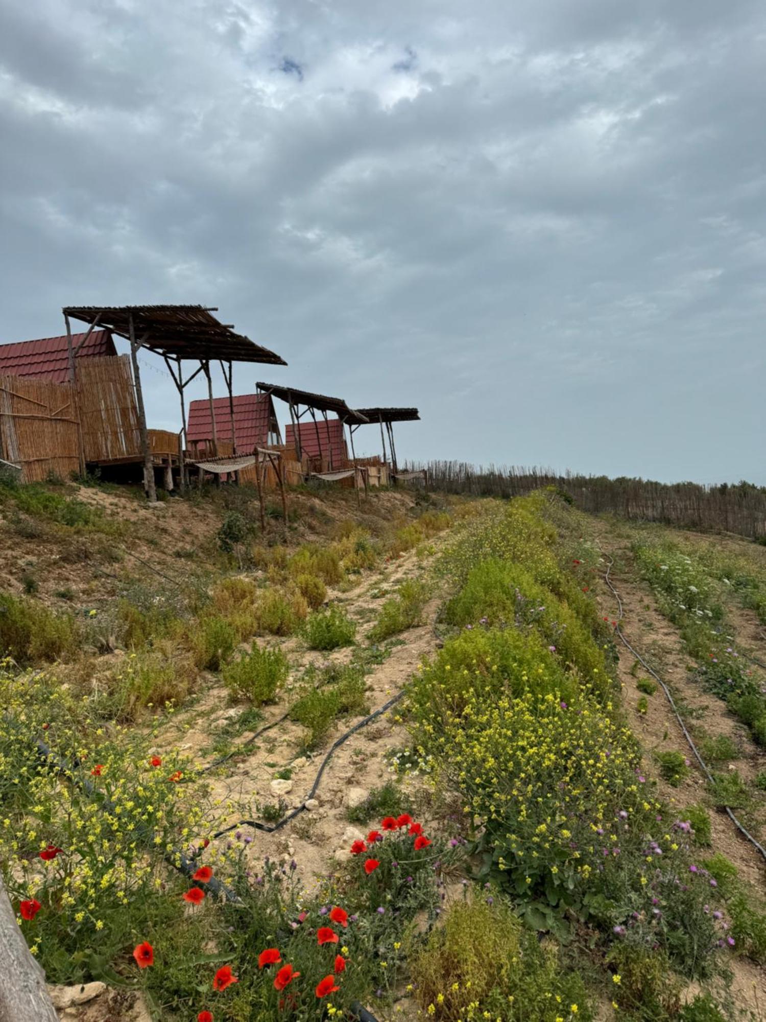 Отель Ghar El Melh Outdoors Ra's al Jabal Экстерьер фото